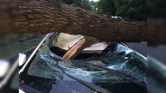 Воронежцам объяснили, как получить компенсацию за разбитые во время урагана авто