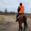 В Воронеже решили увеличить число конных отрядов для поиска пропавших людей