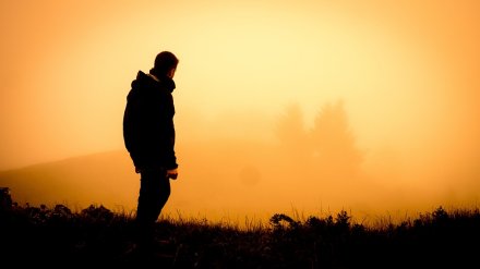 Пропавшего под Воронежем 14-летнего подростка нашли живым