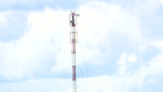 В Воронежской области появятся около 50 новых вышек сотовой связи