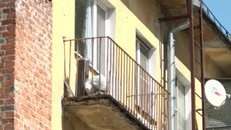 В Воронеже зять нашёл на балконе разлагающийся труп тёщи