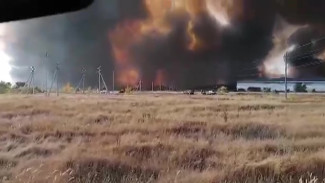 Из-за крупного лесного пожара в Воронежской области эвакуировали жителей хутора