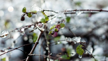 Прогноз погоды в Воронеже на 28.11.2024