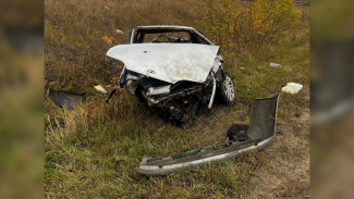 В Воронежской области парень погиб в съехавшей в кювет машине