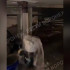 Жители воронежской 9-этажки пожаловались на регулярные потопы