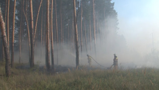 В МЧС предупредили воронежцев о риске ландшафтных пожаров при сильном ветре