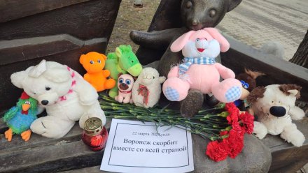 Воронежцы начали нести цветы и игрушки к мемориалу после трагедии в «Крокусе»