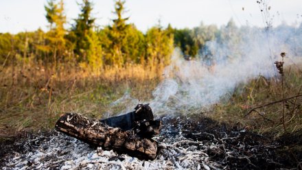 В Воронежской области объявили оранжевый уровень погодной опасности из-за пожаров