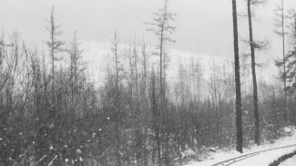 Новая рабочая неделя начнётся для воронежцев с тумана, мокрого снега и гололедицы