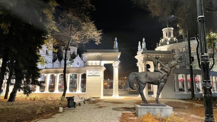 Воронежский «Орлёнок» откроют 18 декабря спустя 2,5 года реконструкции