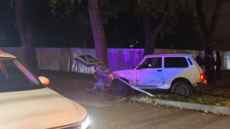 МВД прокомментировало аварию с убитым дорожным знаком мальчиком в Воронеже