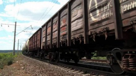 В Воронежской области грузовой поезд снёс легковушку на переезде
