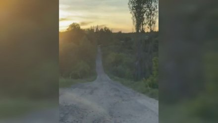 Власти ответили на жалобы жителей воронежского СНТ на 12-летнее ожидание ремонта дороги