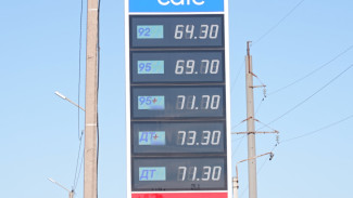 Почему растут цены на бензин? Разбираться начали воронежские антимонопольщики 