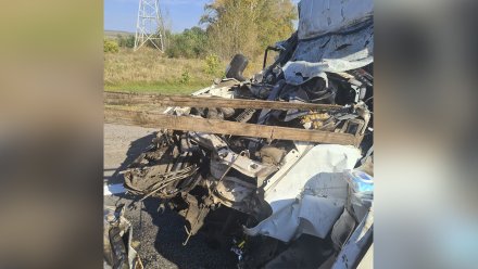 Воронежец погиб после столкновения «Газели» и грузовика 