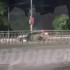 Легковушка протаранила ограждение у остановки в Воронеже
