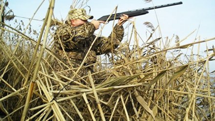 Воронежские власти рассказали о новых правилах охоты на пернатых весной