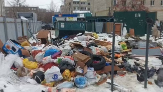 «Люди – свиньи». Жительница Семилук сняла на видео свалку у жилых домов  