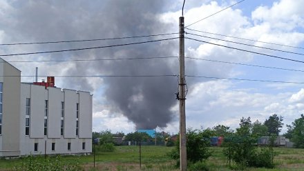 В Воронеже установили личность поджигателя мусора на Новосибирской