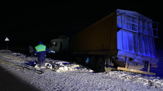 Фура вылетела в кювет на заснеженной трассе в Воронежской области