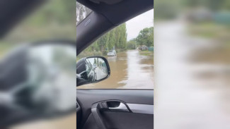 Воронежцы сняли на видео затопленную улицу Димитрова
