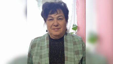 В Воронеже забуксовало расследование уголовного дела о смертельном ДТП на зебре