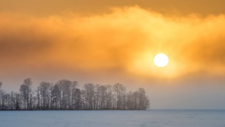 На смену сильным морозам в Воронежскую область снова придёт потепление