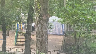 Толпа пьяных дебоширов продолжила донимать воронежцев во дворе на Варейкиса