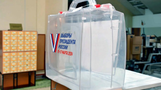Воронежцам напомнили, что на выборах президента они могут проголосовать на дому