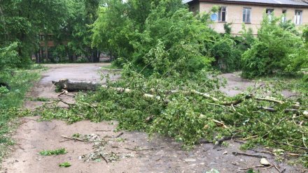 Специалисты РВК перешли на усиленный режим работы во время урагана в Воронеже