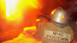 Парень получил ожоги рук из-за пожара в воронежском посёлке
