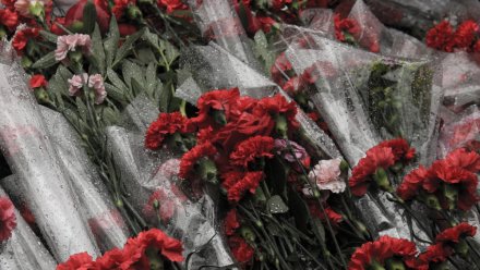 Воронежцев пригласили на онлайн-концерт «Одна страна – одна Победа»