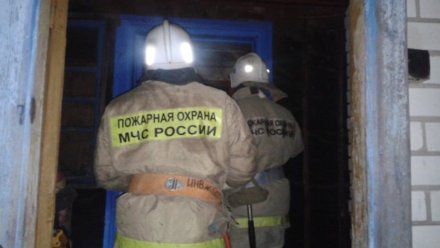 На складе в Воронежской области сгорело 6 тонн угля