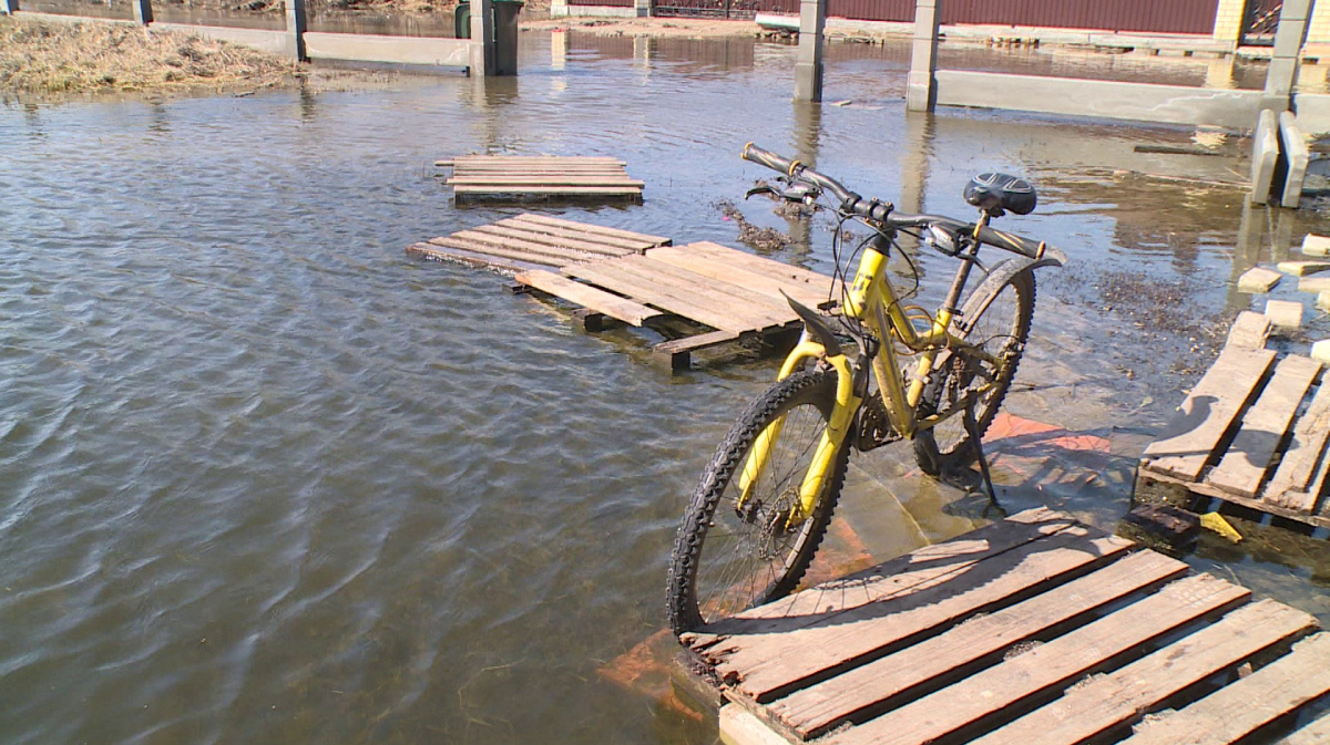 На реке в Борисоглебске ожидается подъём уровня воды до 4 метров |  17.04.2024 | Воронеж - БезФормата