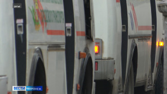 Воронежские автобусы проверят на нарушение ПДД