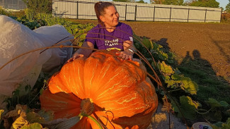 Воронежские супруги-фермеры вырастили овощи-гиганты