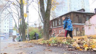 100 тысяч помощников. В Воронеже прошёл общегородской субботник