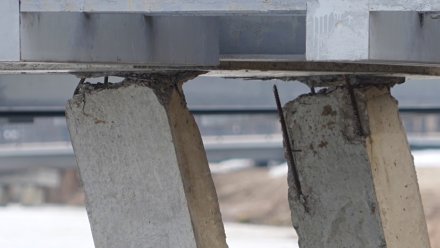 Воронежцам рассказали о судьбе «парящих» мостов на Петровской набережной