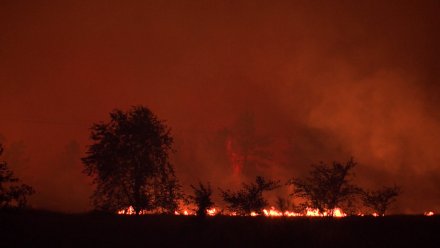 МЧС по Воронежской области выступило с экстренным обращением из-за пожаров