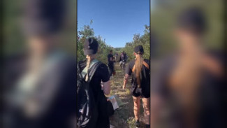 Студентов медколледжа избили палкой на яблочной плантации под Острогожском