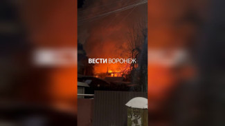 Воронежцы сняли на видео мощный пожар в частном доме