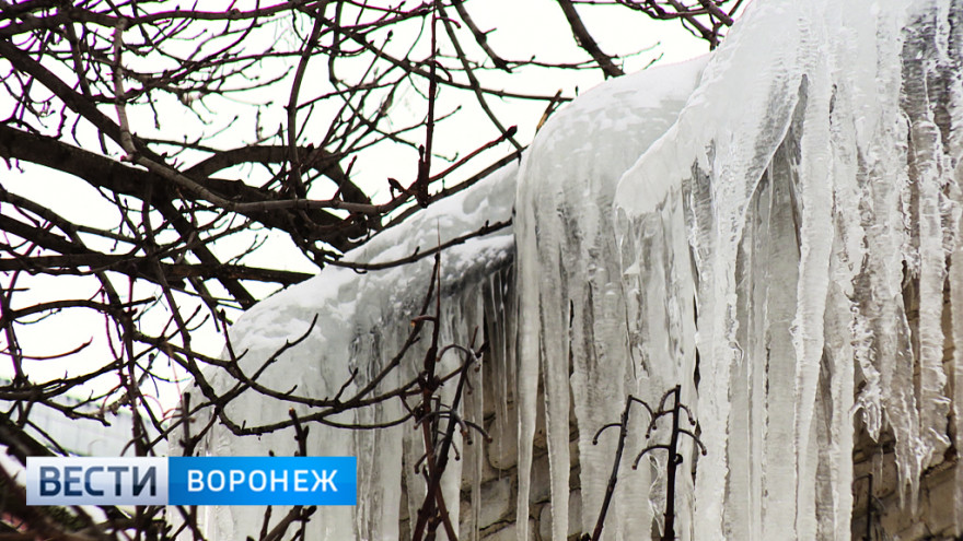 Врачи рассказали о состоянии пострадавших от ледяных глыб воронежцев