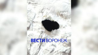 В Воронеже возбудили уголовное дело после падения 7-летнего мальчика в люк