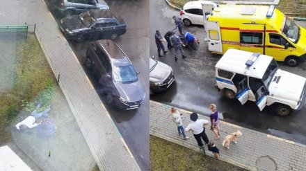 Выбросивший животных из окна квартиры воронежец упал с 8 этажа и выжил