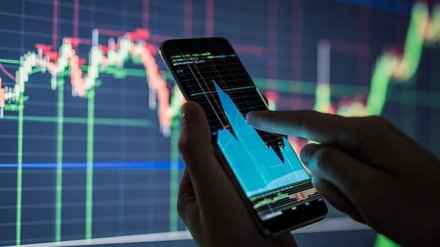 Жительница Воронежа потеряла 1 млн рублей в надежде заработать на бирже
