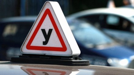 Начальник отдела воронежской ГИБДД признал вину в получении взяток за экзамены