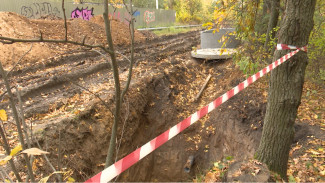 Воронежцы потребовали сохранить зелёную аллею возле «Яблоневых садов»