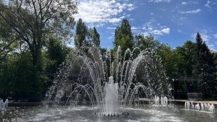Воронежцам назвали график работы фонтанов
