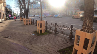 В Воронеже защита деревьев от снегоуборочной техники вышла на новый уровень