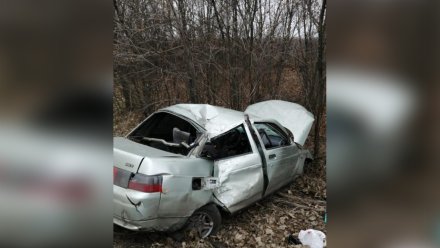 В Воронежской области пьяный водитель врезался в дерево: пострадали четверо
